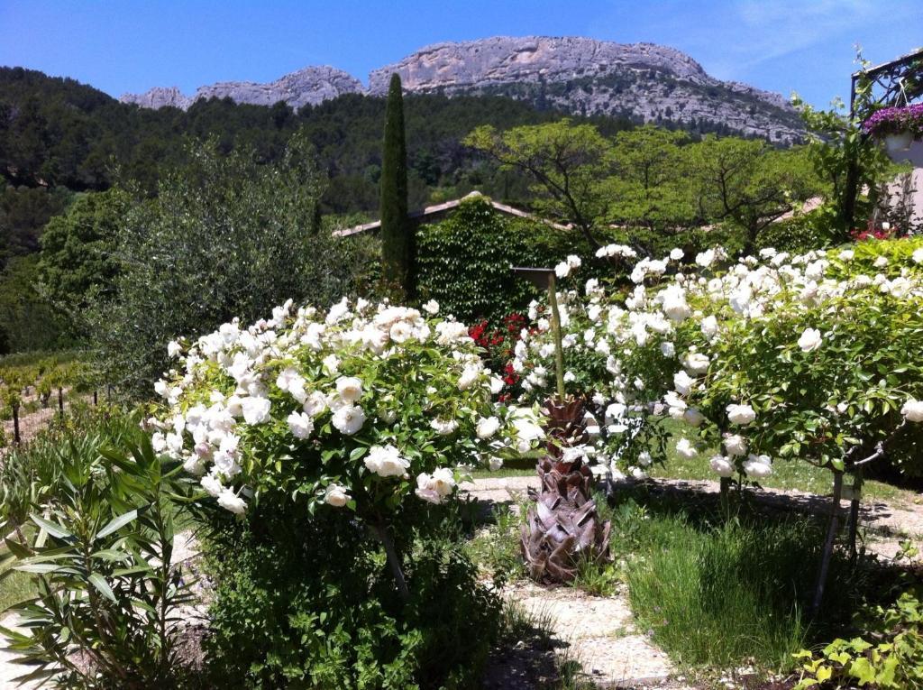 Le Grand Jardin Panzió Lafare Kültér fotó