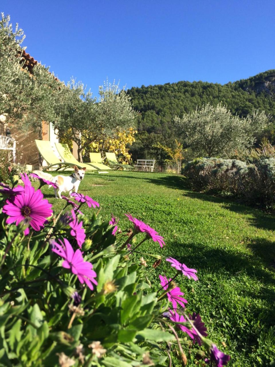 Le Grand Jardin Panzió Lafare Kültér fotó