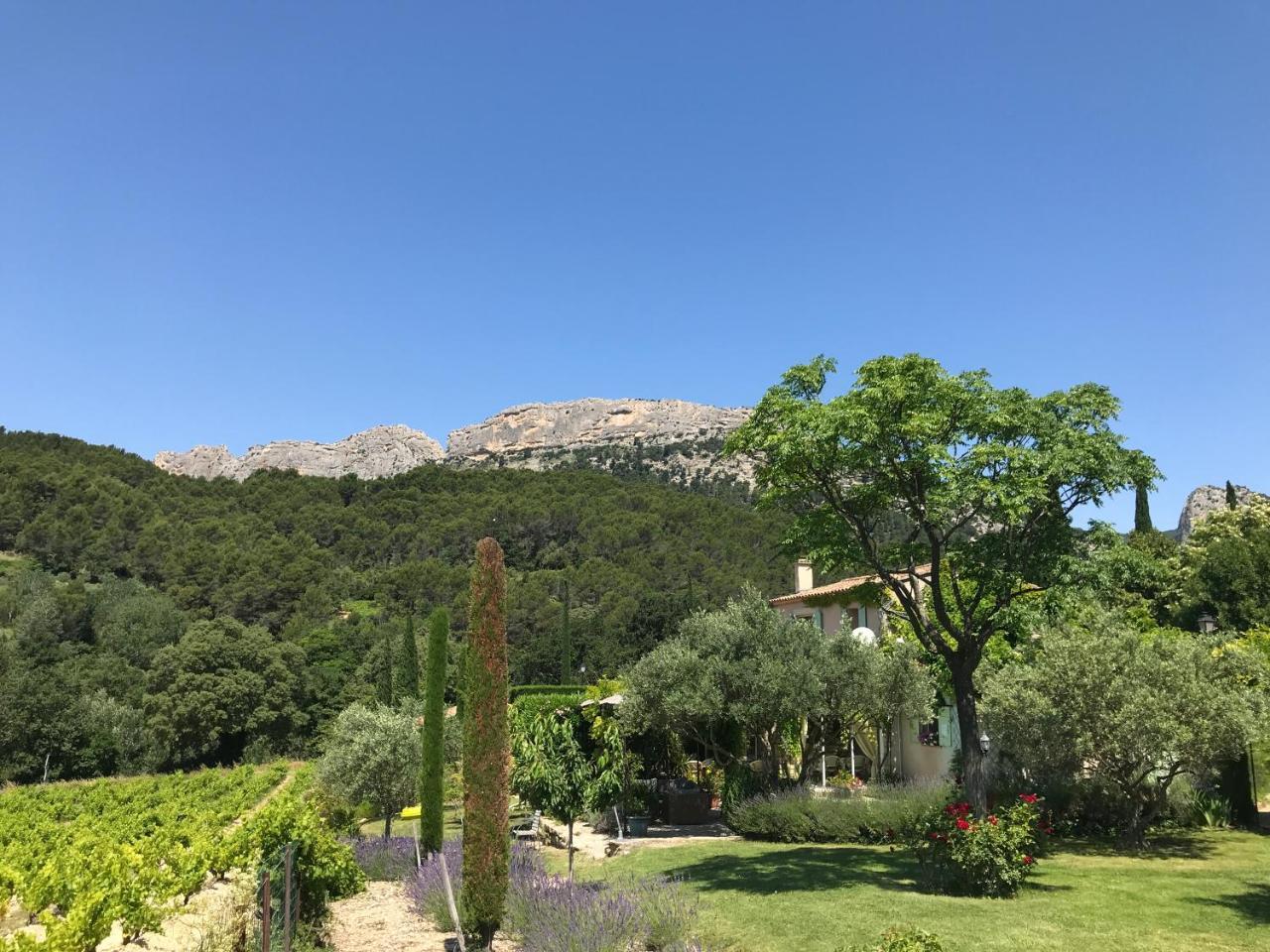 Le Grand Jardin Panzió Lafare Kültér fotó